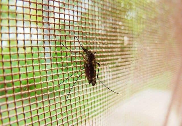 Sprays and Mosquito Misting Systems