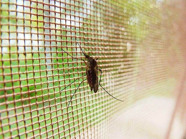 Sprays and Mosquito Misting Systems